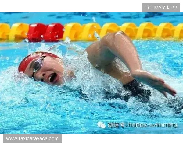 提升体育手机版会员登录体验的实用建议与常见错误避免指南